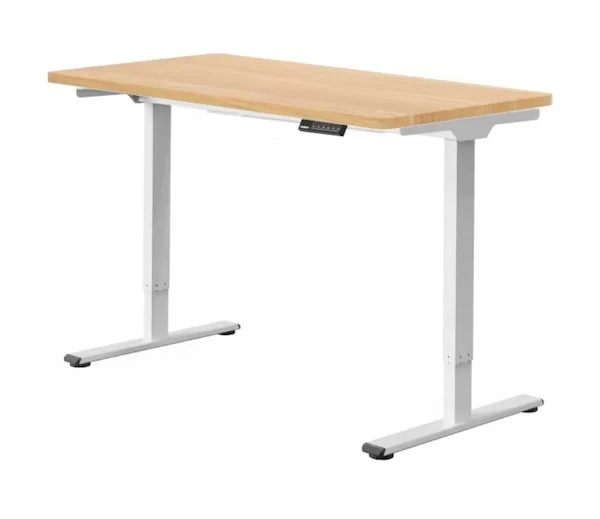 FLEXISPOT E1