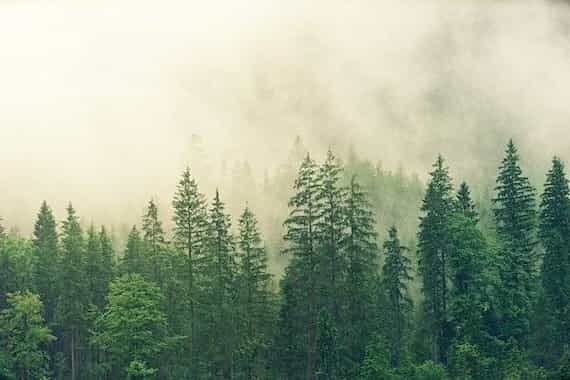 Reduce tu huella ambiental